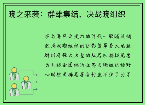 晓之来袭：群雄集结，决战晓组织